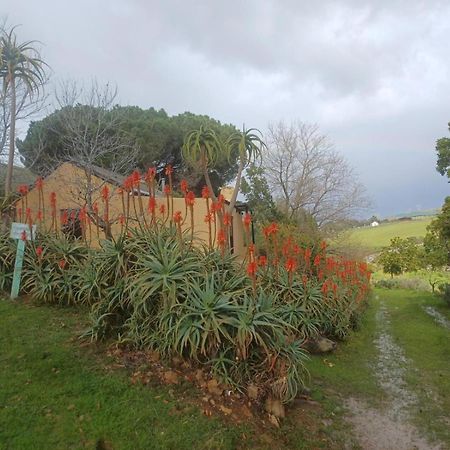 Swaynekloof Farm Βίλα Botrivier Εξωτερικό φωτογραφία