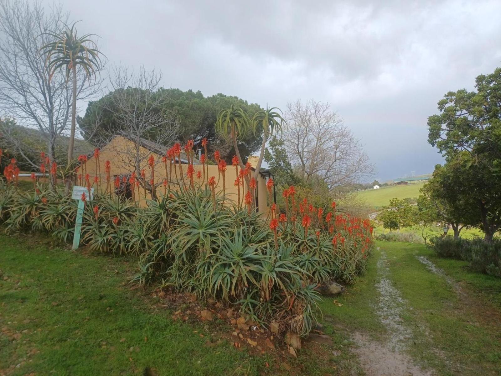 Swaynekloof Farm Βίλα Botrivier Εξωτερικό φωτογραφία